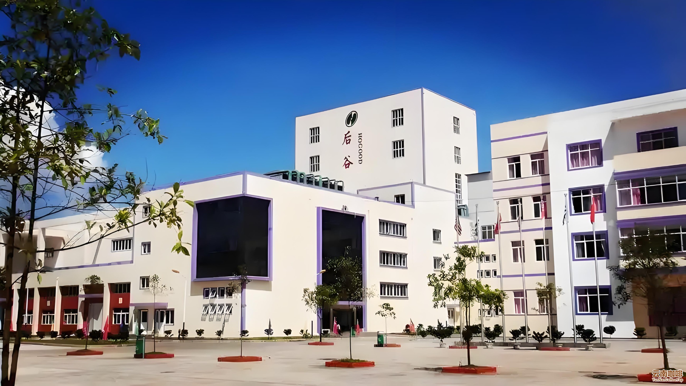 图片关键词