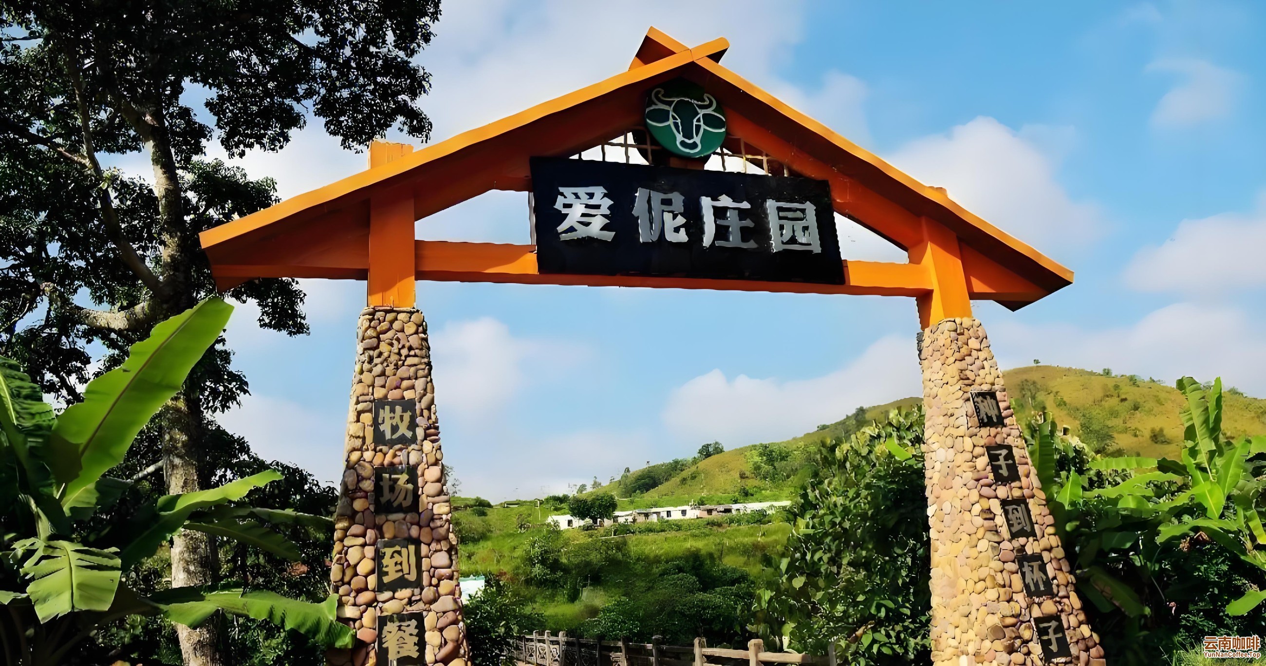 图片关键词