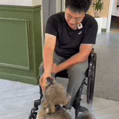 图片关键词 图片关键词