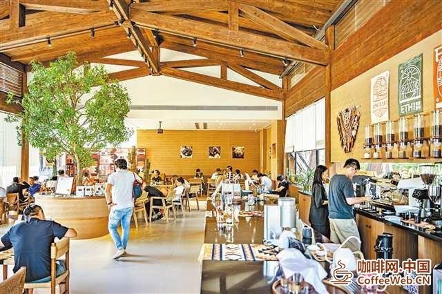 千年古镇，一杯咖啡融入中非双向奔赴A millennium old town, a cup of coffee blends into the two-way journey between China and Africa