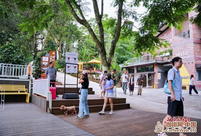 云南普洱：一颗咖啡果的&ldquo;加法&rdquo;Yunnan Pu'er: The 'Addition' of a Coffee Fruit