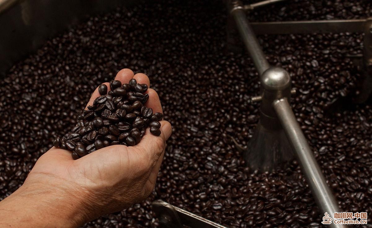 万宁市兴隆咖啡焙炒技艺非遗代表性传承人培训开班Wanning Xinglong Coffee Roasting Techniques Representative Inheritors Training Course Opened