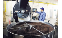 华南两大咖啡产业中心落户广州白云Two major coffee industry centers in South China settle in Baiyun, Guangzhou