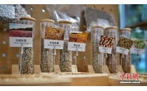 华南国际咖啡交易创新中心落户广州白云区South China International Coffee Trading Innovation Center settled in Baiyun District, Guangzhou