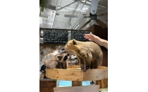从袋鼠到食蚁兽，00后姑娘开了13家异宠咖啡店From kangaroos to anteaters, post-2000s girls have opened 13 exotic pet coffee shops