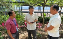 一粒咖啡豆里的中印尼村长问答