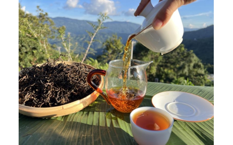 可可、咖啡、茶，云南集齐世界三大饮料！Cocoa, coffee, and tea, Yunnan gathers the world's three major beverages!