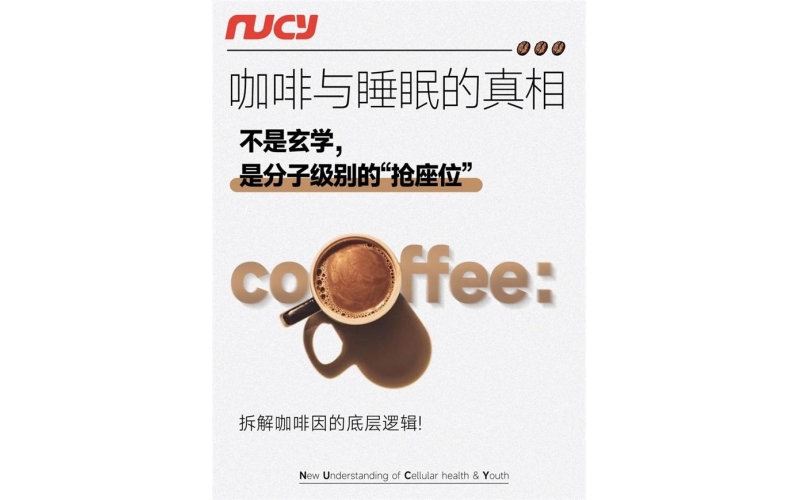 咖啡融合传统原料，NUCY打造创新日常饮用Coffee blends traditional ingredients, NUCY creates innovative daily drinking