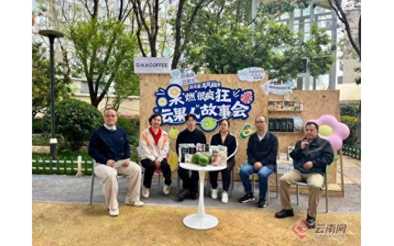 从引种扎根到规模跃升，云果产业何以行稳致远？How can the cloud fruit industry achieve stability and long-term development from introduction and rooting to scale leap?