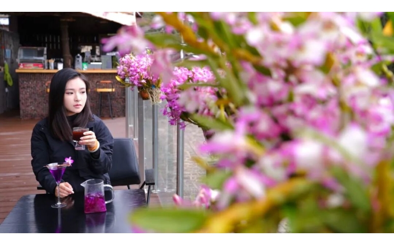 &ldquo;老板，来一&lsquo;斛&rsquo;咖啡&rdquo;丨在云南样样好Boss, come and have 'Hu' coffee. Everything is good in Yunnan