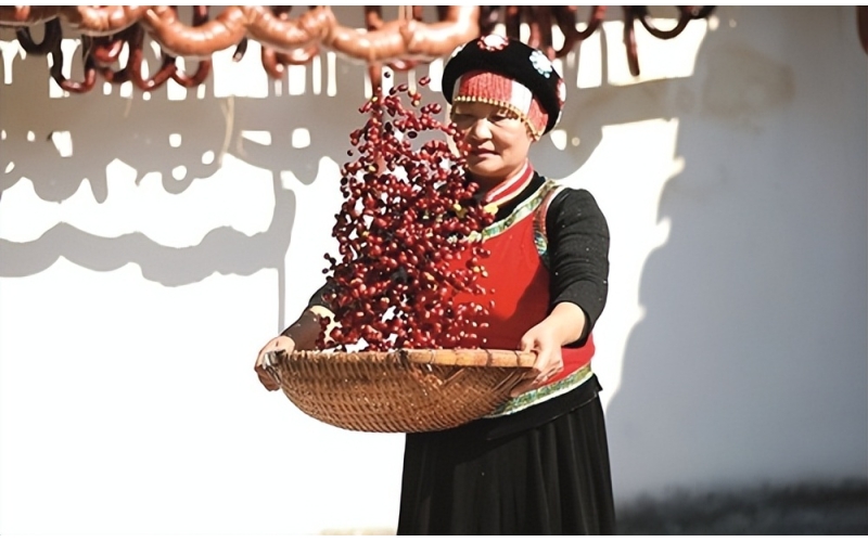 云南保山：国产咖啡出圈记Baoshan, Yunnan: The Rise of Domestic Coffee in the Industry