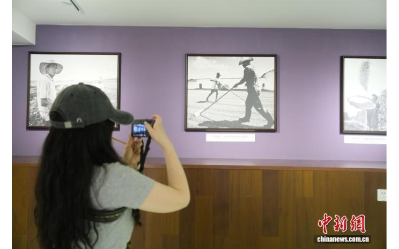 巴西咖啡影像展暨文化品鉴交流活动在杭举行Brazilian Coffee Image Exhibition and Cultural Tasting Exchange Event held in Hangzhou