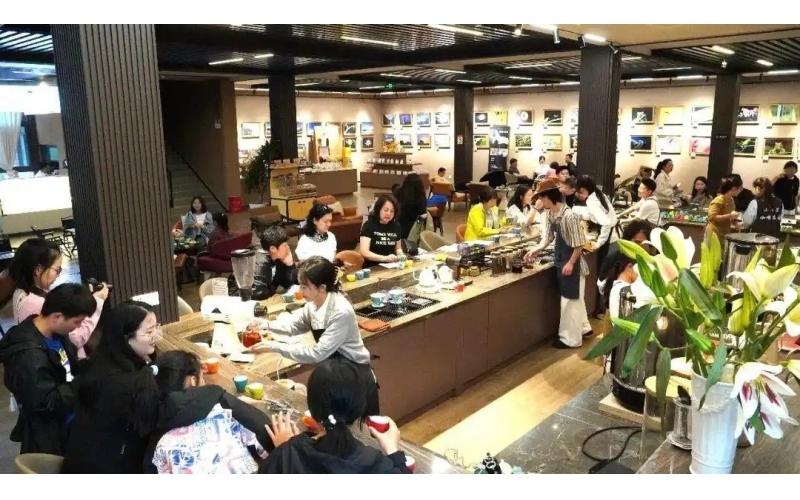 暑期不扎堆！普洱思茅的咖啡庄园，承包你的夏日治愈时光No crowds during summer! Pu erh Simao's coffee plantation, contracting your summer healing time