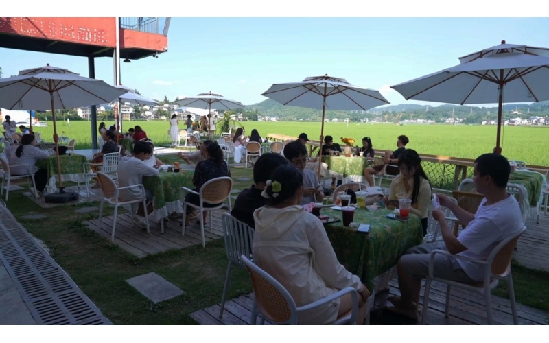 稻浪翻涌咖啡香，海龙镇贡米村成消暑纳凉好去处Amidst the surging waves of rice and the fragrant aroma of coffee, Gongmi Village in Hailong Town has become a great place to cool off and unwind