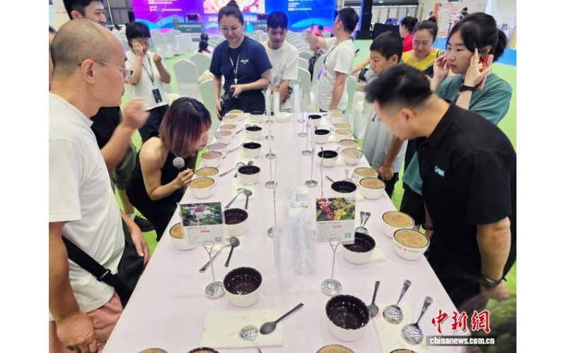 （经济观察）中国咖啡市场持续看涨 海南或成全球咖啡入华新通道(Economic Observation) The Chinese coffee market continues to rise, and Hainan may become a new channel for global coffee to enter China