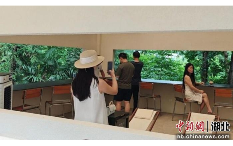 千余份消费券热销 武汉黄陂山野咖啡馆悄然走红More than a thousand consumer coupons are selling well, and the Huangpi Mountain Wild Cafe in Wuhan has quietly become popular